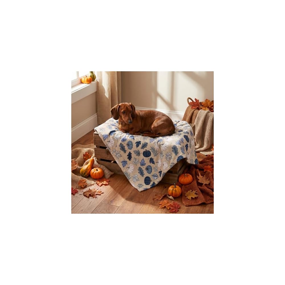 Fall Flannel Blanket and Petblanket